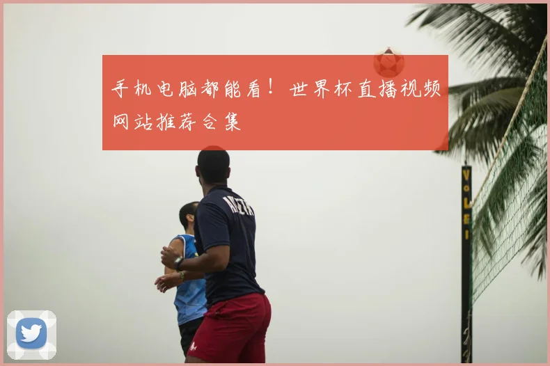 手机电脑都能看!世界杯直播视频网站推荐合集