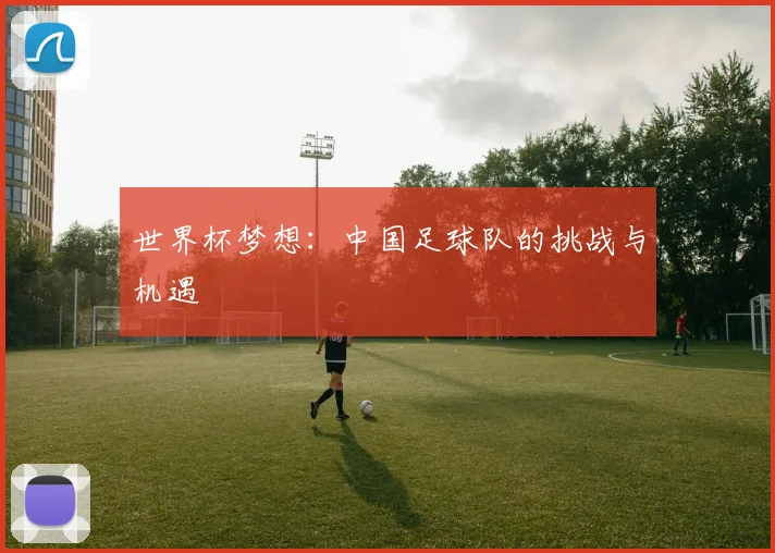 世界杯梦想：中国足球队的挑战与机遇