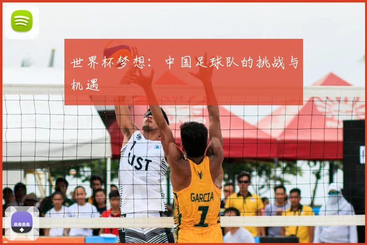 世界杯梦想：中国足球队的挑战与机遇
