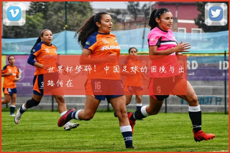 世界杯梦碎！中国足球的困境与出路何在