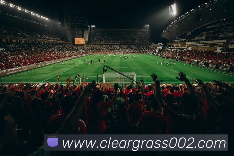 mksports官方网站APP 封面图