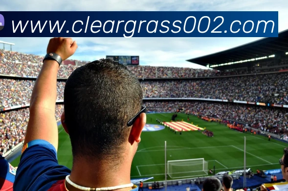 开云手机入口登录官网APP 高清赛事图